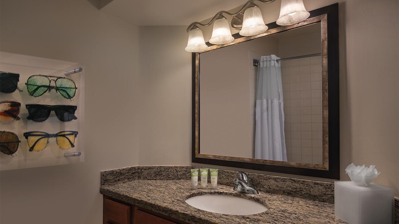 Bathroom (Guestroom)